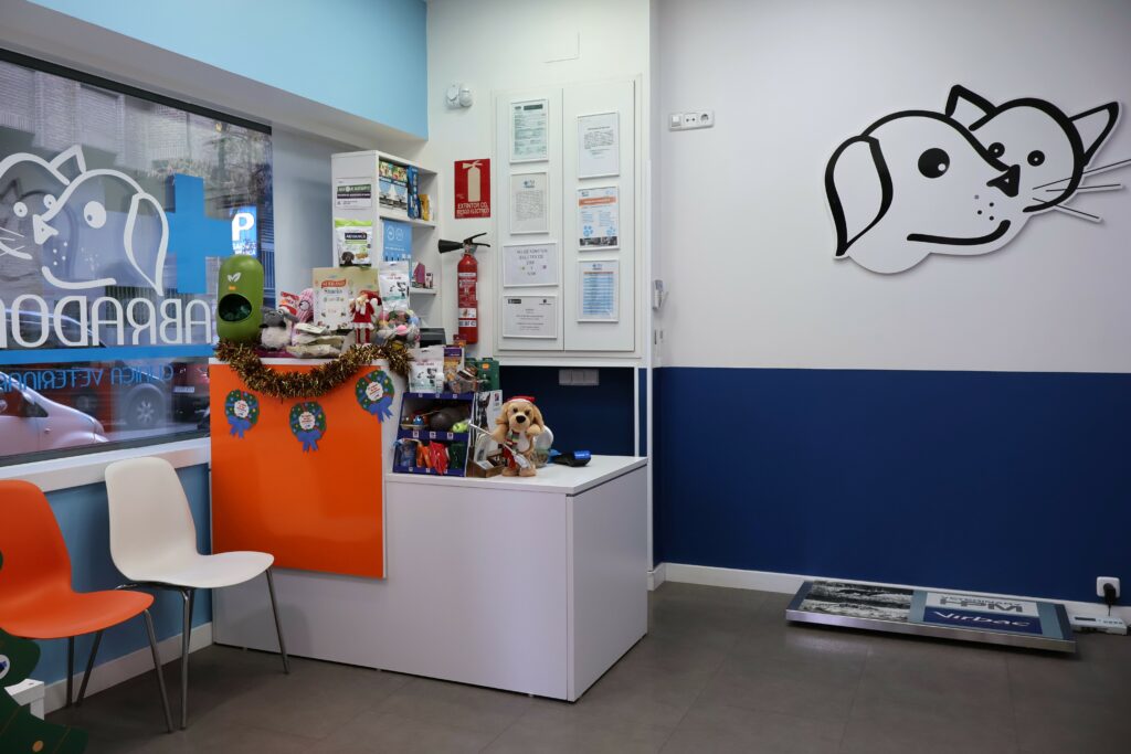imagen sala de espera clínica veterinaria labrador