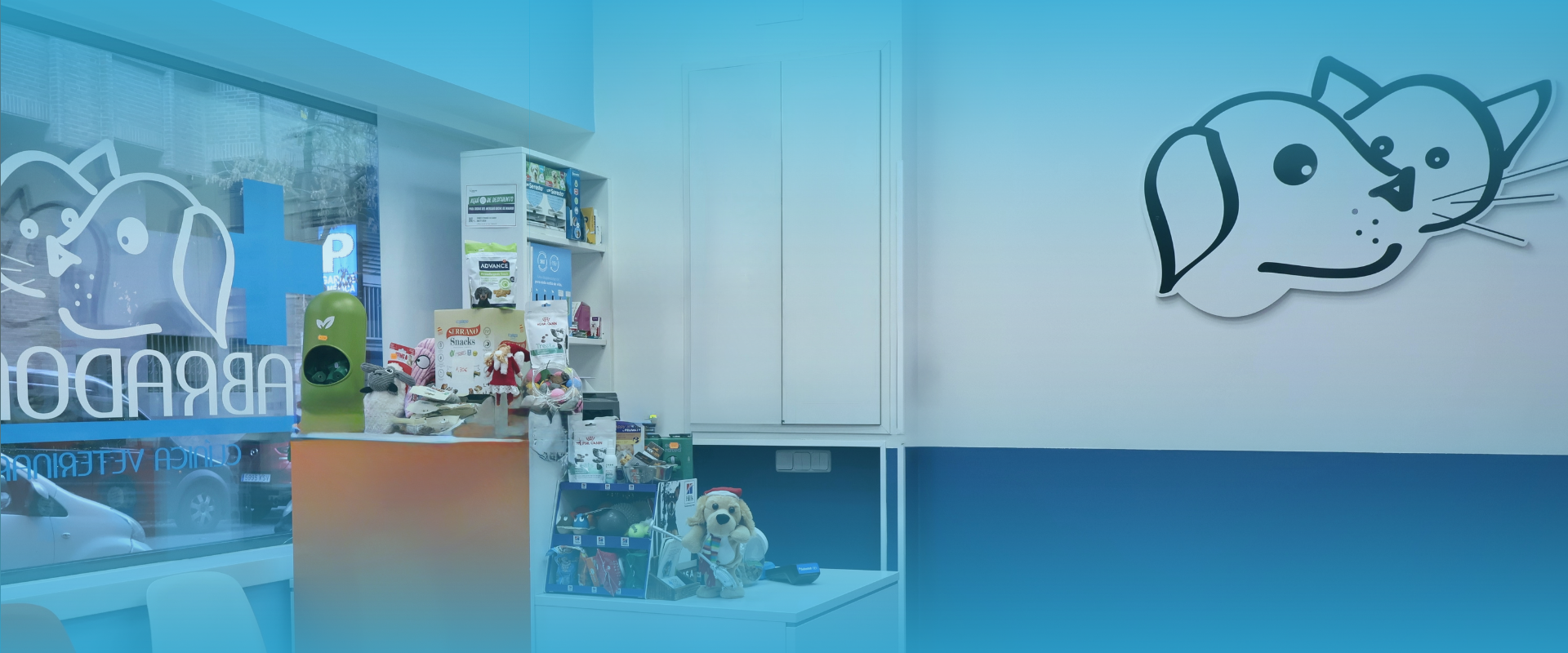 Clínica veterinaria en Madrid, Labrador