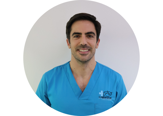 Javier Aguirre de nuestro equipo veterinario