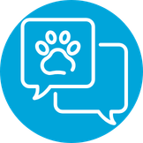 Consulta veterinaria ordinaria y de especialidad en Madrid