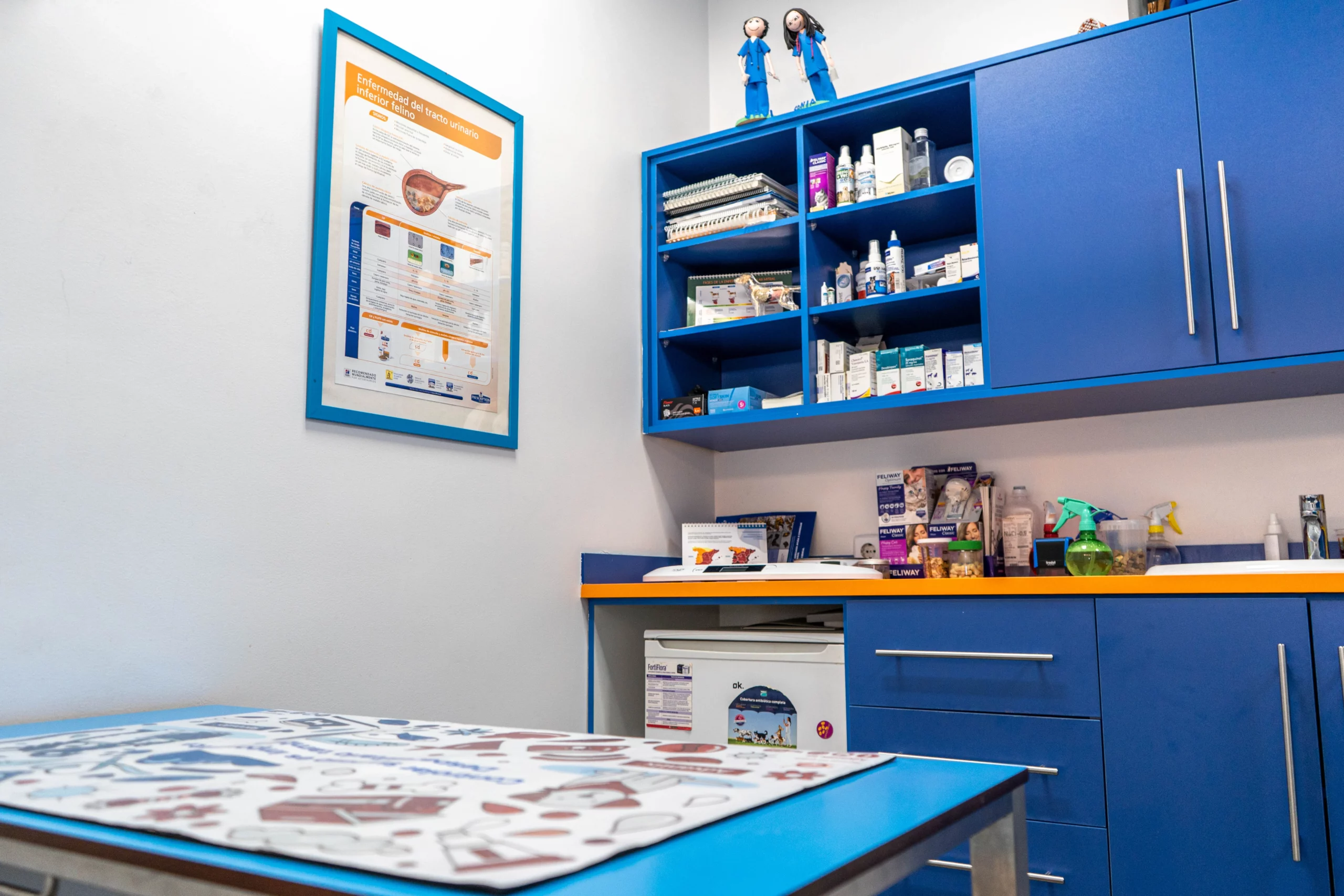 Instalaciones veterinarias Clínica Labrador Consulta